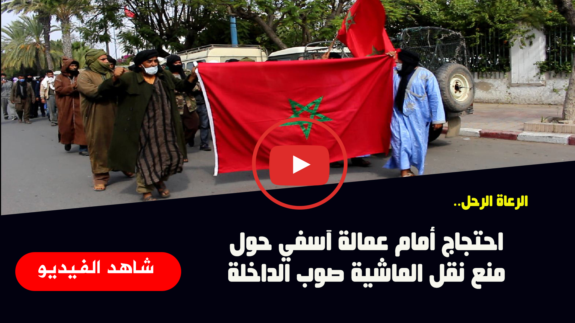 رعاة - أسفي كود | safigoud.com