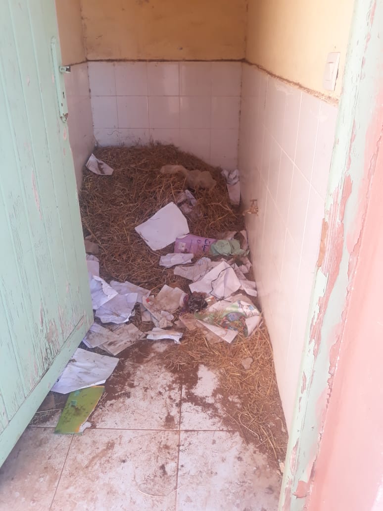 WhatsApp Image 2021 02 11 at 16.05.05 1 - أسفي كود | safigoud.com