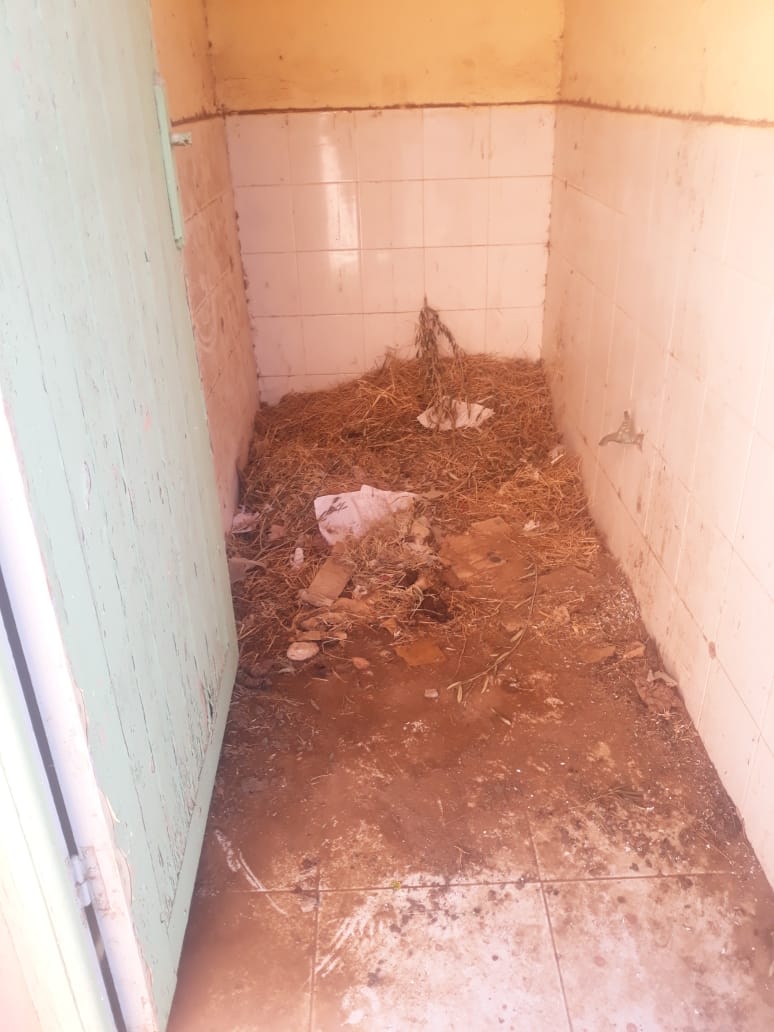 WhatsApp Image 2021 02 11 at 16.05.05 - أسفي كود | safigoud.com