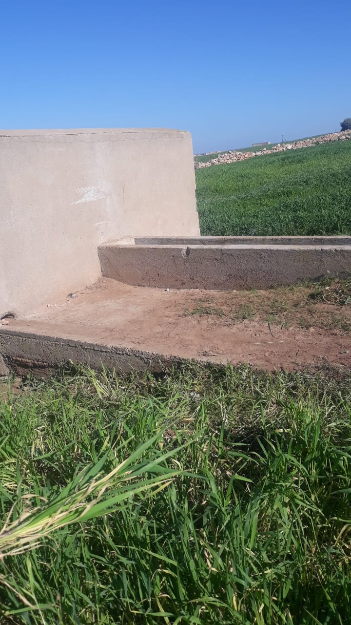 WhatsApp Image 2021 02 11 at 16.06.39 - أسفي كود | safigoud.com