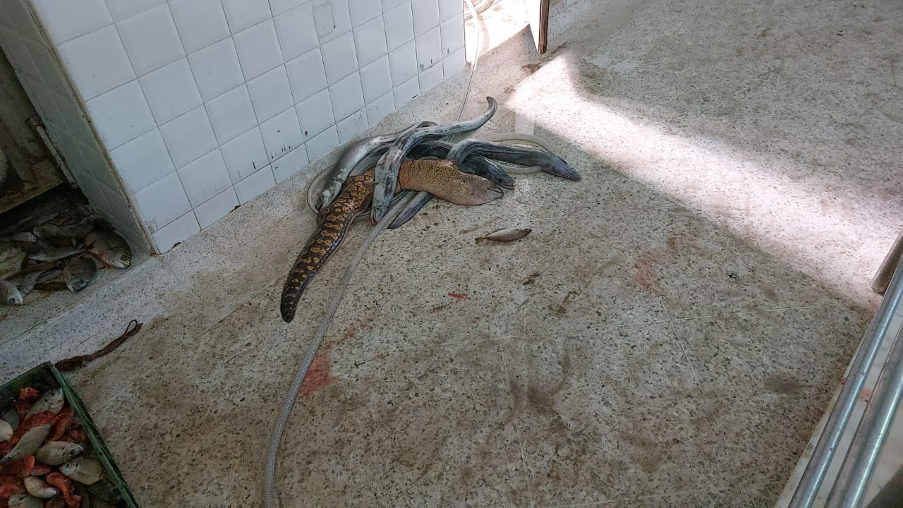 WhatsApp Image 2022 03 08 at 16.58.51 - أسفي كود | safigoud.com