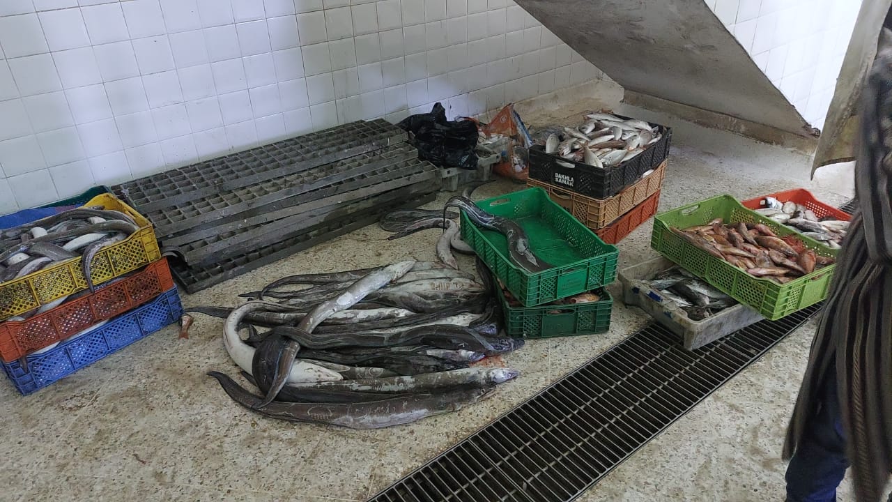 WhatsApp Image 2022 03 08 at 16.58.52 1 - أسفي كود | safigoud.com