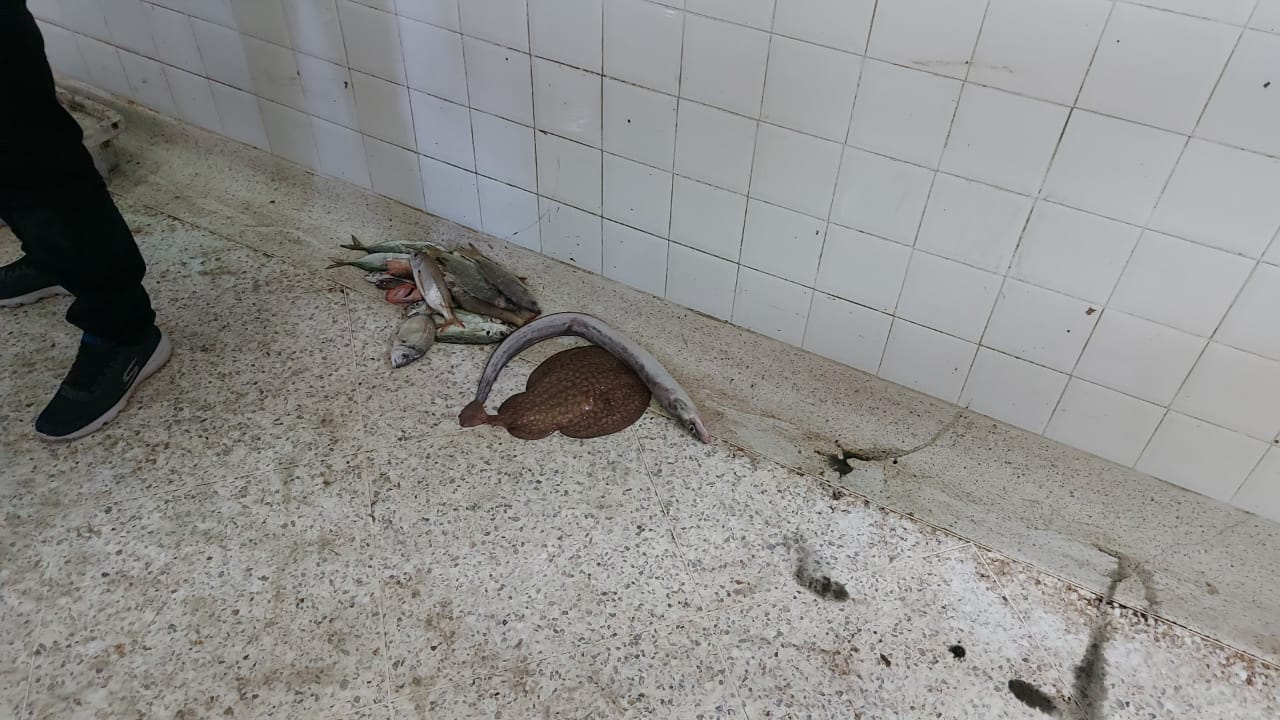 WhatsApp Image 2022 03 08 at 16.58.52 2 - أسفي كود | safigoud.com