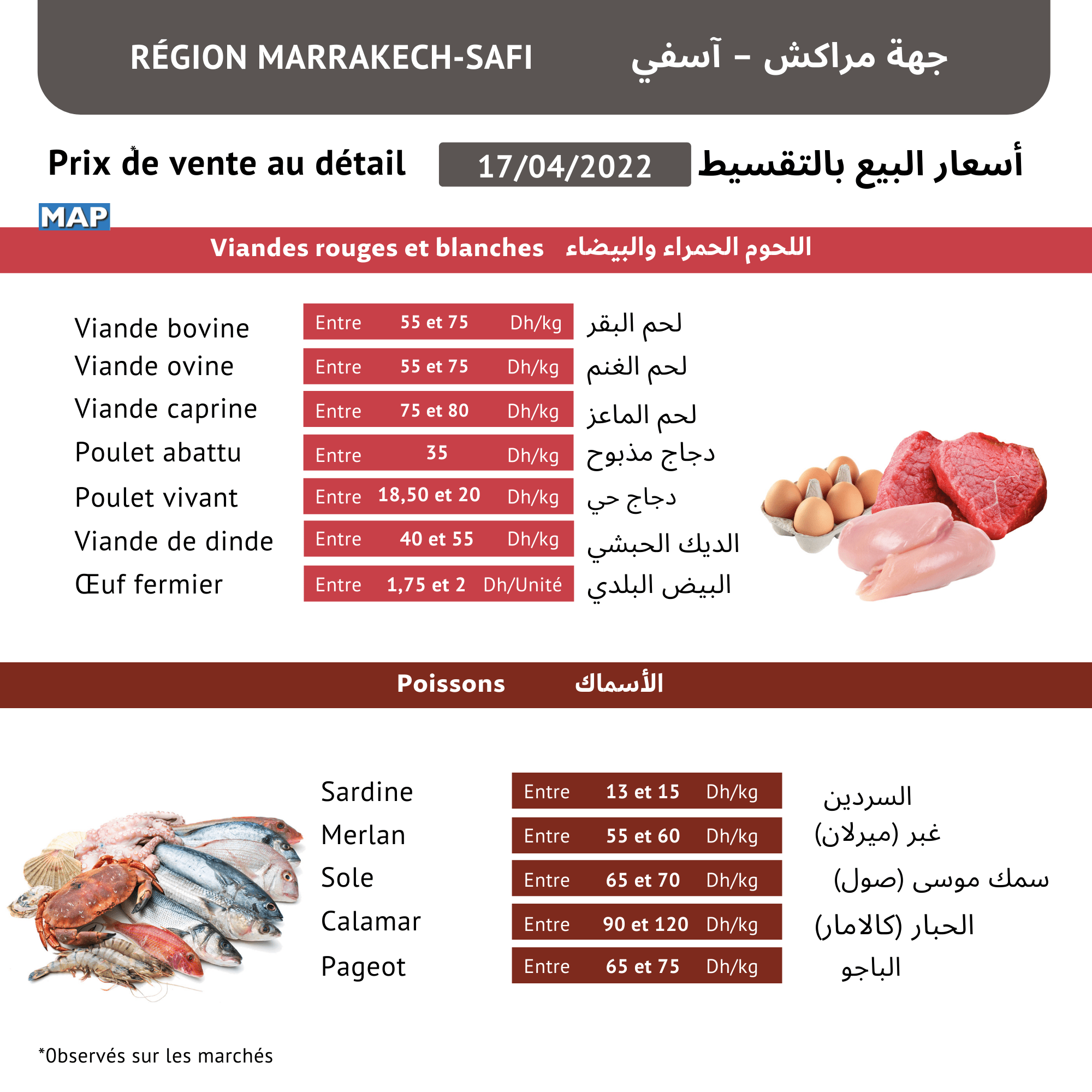 تغدية - أسفي كود | safigoud.com