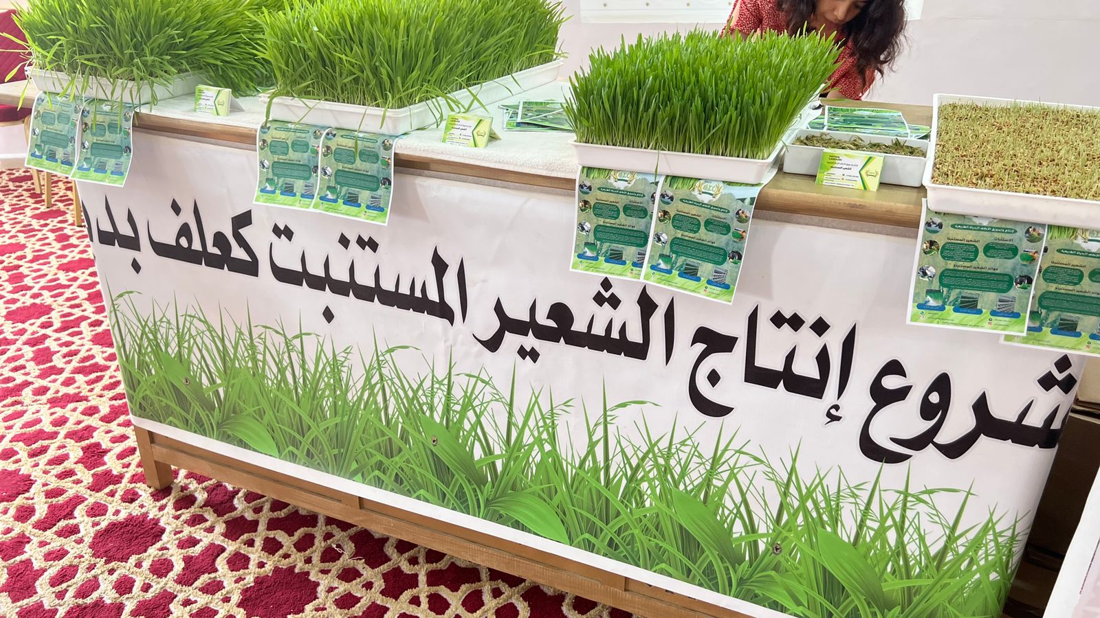 8 - أسفي كود | safigoud.com