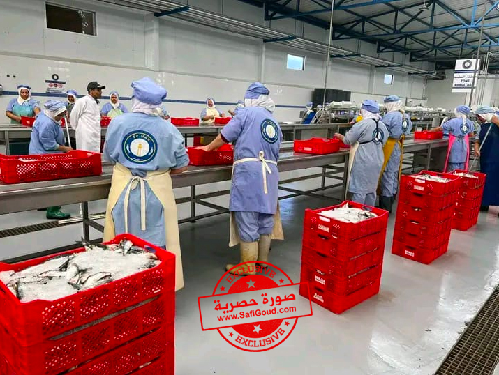 4 3 - أسفي كود | safigoud.com