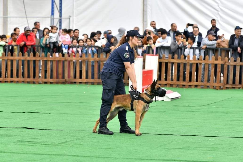 3 - أسفي كود | safigoud.com