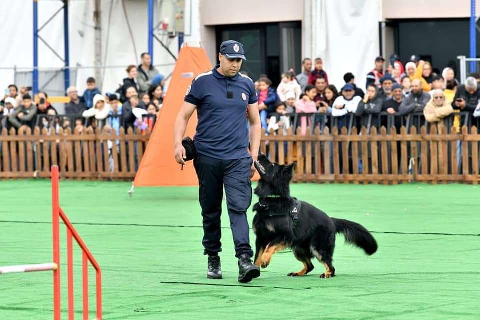 4 - أسفي كود | safigoud.com