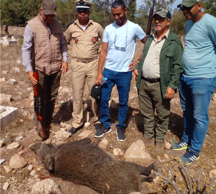 Capture decran 2023 10 17 a 18.34.37 - أسفي كود | safigoud.com