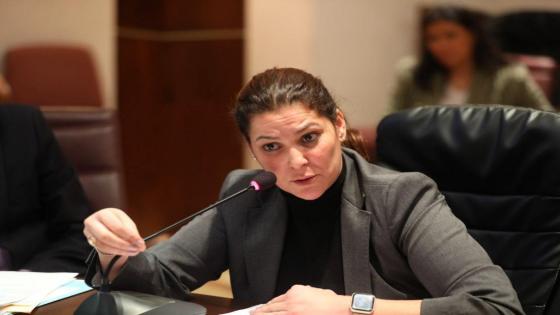 المنصوري: النجاحات التي حققتها بلادنا تحت القيادة الملكية أصبحت تثير ضغينة أعداء الوطن