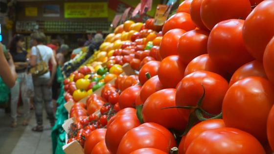 أسعار الطماطم تبلغ مستويات قياسية في أسواق البيع بالتقسيط