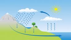 بركة : 800 مليون متر مكعب من المياه تبخرت بسبب الحرارة