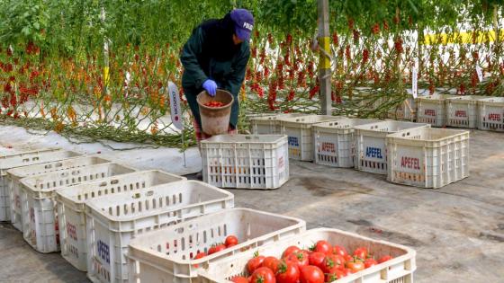 اتفاقية لتسهيل تشغيل العمال الزراعيين الموسميين المغاربة في فرنسا