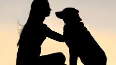 اتهام نجل مسؤول قضائي بالخميسات بتصوير فيديوهات “بورنو” لفتيات ومثليين في وضعيات شاذة مع الكلاب وعدوى مرضية أصابته فضحت الأمر