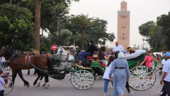 عطلة عيد الأضحى تنعش السياحة الداخلية وفنادق مراكش تحقق نسب ملء قاربت 100%