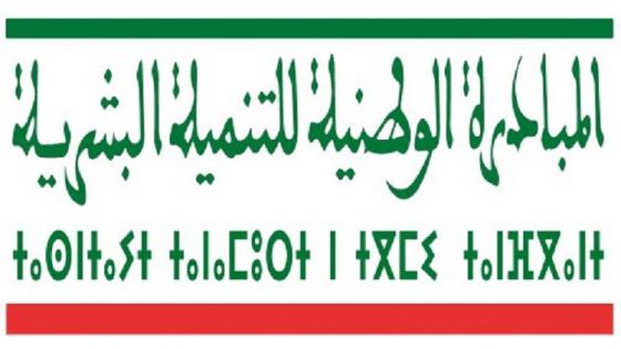 اللجنة الإقليمية للتنمية البشرية بالصويرة تصادق على 128 مشروعا