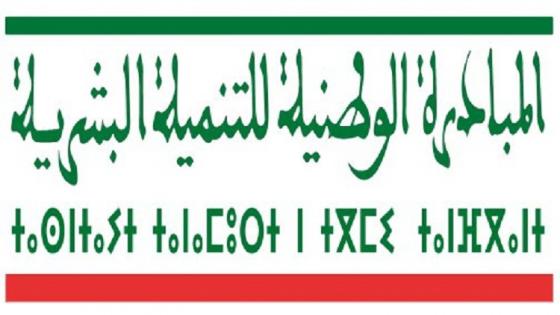 اللجنة الإقليمية للتنمية البشرية بالصويرة تصادق على 128 مشروعا