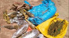 عناصر الدرك الملكي باقليم آسفي توقف مروجين خطيرين وتحجز كميات كبيرة من القنب الهندي والشيرا والتبغ المهرب