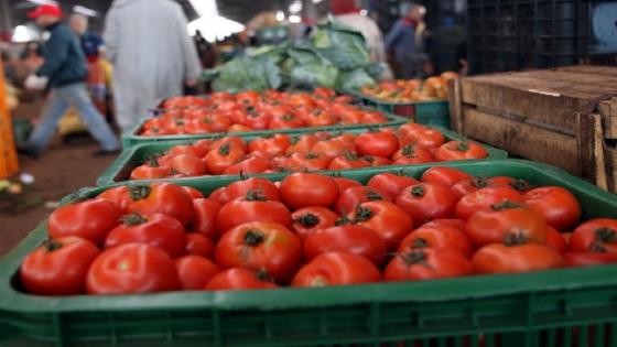 مهنيون يعدون بانخفاض أسعار الطماطم بعد 20 يوما