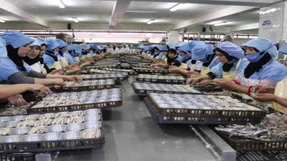 شركة ساريكس لتصبير السمك بآسفي تهدد عاملات بالطرد بسبب الفدرالية الديمقراطية للشغل