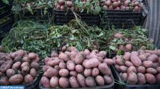 Le marché de gros de Fès est bien approvisionné pour répondre aux besoins des citoyens en cette période détat durgence sanitaire. (Covid-19) 22032020-Reportage photo-marché de gros-Fès