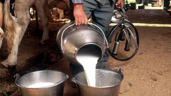 الحكومة تكشف سبب النقص في مادة الحليب بالأسواق وسبل معالجة الأزمة