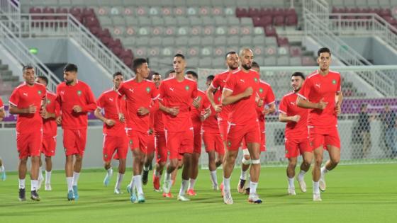 كان الكوت ديفوار .. أول حصة تدريبية للأسود