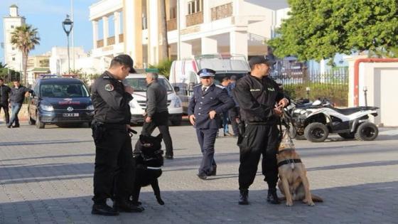 كلاب بوليسية مدربة تعزز السدود القضائية بمدخل مدينة الصويرة