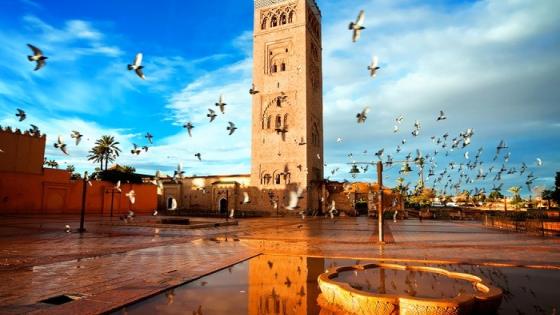 أسبوعية (شالانج) الفرنسية تسلط الضوء على الحراك الثقافي والفني لمدينة مراكش