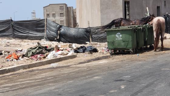 تراكم الأزبال بالأحياء السكنية بهوامش مدينة آسفي يسائل شركة النظافة حول تنفيذ التزاماتها ويثير سخط الساكنة