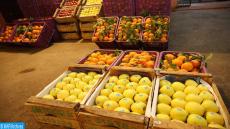 Le marché de gros de Fès est bien approvisionné pour répondre aux besoins des citoyens en cette période détat durgence sanitaire. (Covid-19) 22032020-Reportage photo-marché de gros-Fès