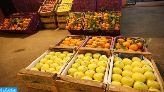 Le marché de gros de Fès est bien approvisionné pour répondre aux besoins des citoyens en cette période détat durgence sanitaire. (Covid-19) 22032020-Reportage photo-marché de gros-Fès