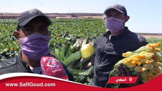 فيديو : التكرفيص والمعاناة ديال الفلاحة نواحي احرارة باش يوجدوا لينا الخضرة في زمن الحجر الصحي