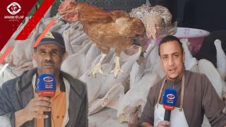 بالصوت والصورة : الدجاج البلدي في آسفي واصل 60 درهم للكيلو والرومي 19 درهم..علاش هاد الزيادة الصاروخية؟
