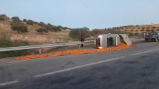 انقلاب بيكوب محملة بالليمون بمنعرجات طريق الشماعية