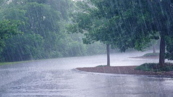 الأرصاد : تساقطات مطرية يومي الاثنين والثلاثاء