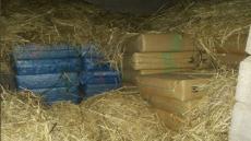 بالصور.. توقيف 8 أشخاص وحجز 7 أطنان من الحشيش مخبية وسط التبن