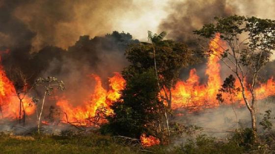 السيطرة على حريق بغابة “غيغاية” بإقليم الحوز