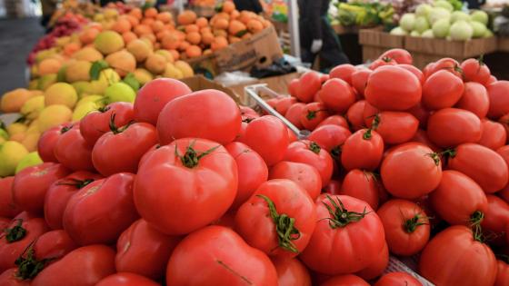 الحكومة تكشف أسباب ارتفاع ثمن الطماطم