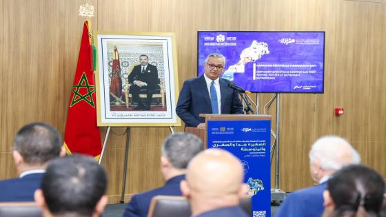 الصويرة.. وزير الاستثمار زيدان يعرف بنظام الدعم الخاص بالمقاولات الصغيرة جداً والصغرى والمتوسطة بجهة مراكش آسفي