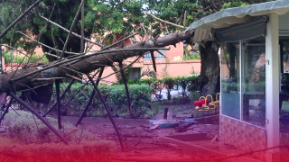 فيديو : ياربي السلامة… سقوط شجرة على إحدى المقاهي خلف بلدية آسفي