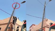 حادث مثير وبالفيديو : قط يستنفر سلطات آسفي وعناصر من الوقاية المدنية بعد أن علق بين الأسلاك الكهربائية