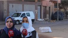 فيديو : الكلاب الضالة تغزو شوارع آسفي والسلطات المحلية تلتزم الصمت