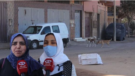 فيديو : الكلاب الضالة تغزو شوارع آسفي والسلطات المحلية تلتزم الصمت