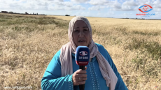 فيديو: تظلموا علينا وداو لينا أرضنا وملي كنمشيوا نديروا التنفيذ كيتكرفصوا علينا ويضربونا