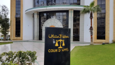 استئنافية طنجة تدين رجل أعمال ألماني بالسجن النافذ لتورطه في الاستغلال الجنسي لعدد من القاصرين