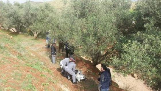 العثور على جثة مواطنة فرنسية معلقة في شجرة بقرية في الصويرة