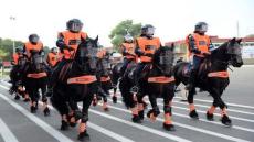 ثماني سنوات نافذة لعميد شرطة وشركائه بتهمة استيراد خيول مريضة للأمن الوطني من بلجيكا وهولندا لفائدة فرق محاربة الشغب