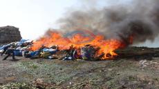 سلطات آسفي تتلف أزيد من 24 ألف حبة “القرقوبي” و 83 كلغ من الحشيش وأطنان من الكيف