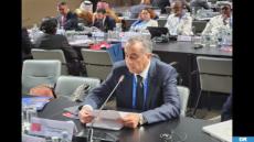 حموشي يشارك في الاجتماع الدولي الثالث عشر لكبار المسؤولين المكلفين بقضايا الأمن والاستخبارات بروسيا